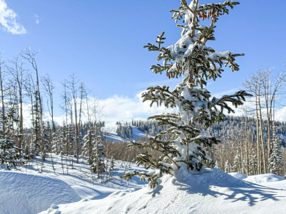 Eagle Roost Retreat By Ski Lifts Brian Head Exteriör bild